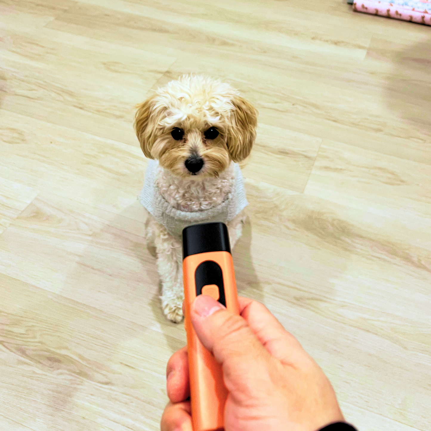 Safe Anti Bark Device
