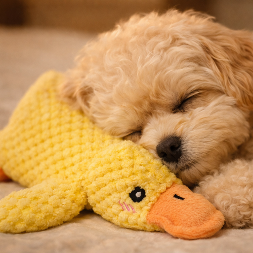NaRo Calming Duck