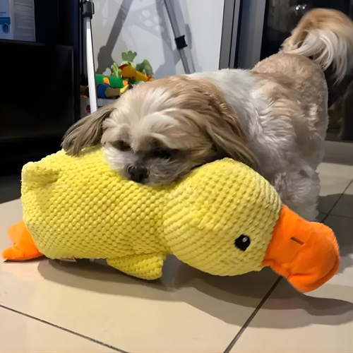 NaRo Calming Duck